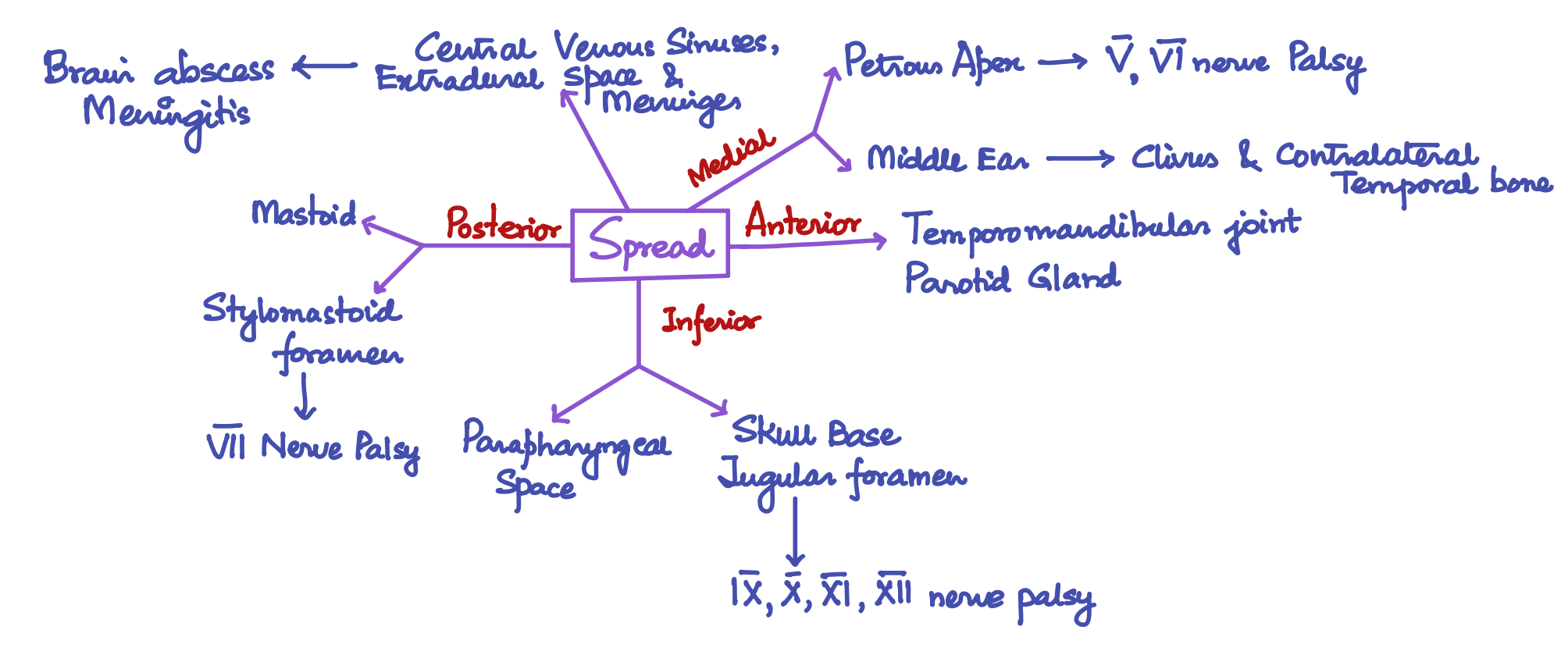 Pathways of Spread of Malignant Otitis Externa